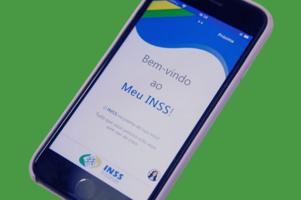 Meu INSS Consultas, Extratos e Informações